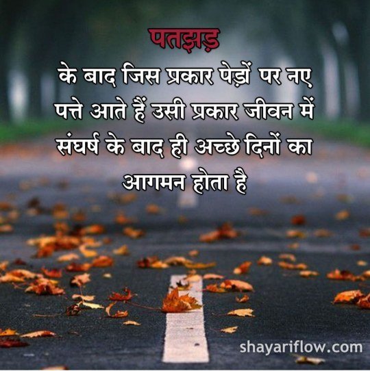 Best Motivational Shayari