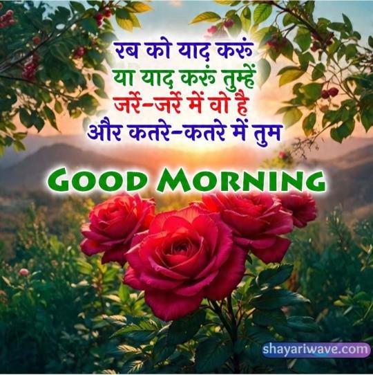 good morning wishes